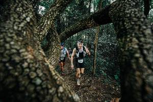 BIB: 
                            <button type="button" onclick="openModal(25392261)" class="btn btn-primary btn-sm float-right btn-popup" data-toggle="modal" data-target=".modal-high-quality">
                        <i class="fas fa-shopping-cart"></i> Add to Cart
                    </button>
                                            <button type="button" onclick="isThisMe(25392261, true)" class="btn btn-success btn-sm float-right btn-popup btn-isme hidden" data-toggle="tooltip" data-placement="bottom" title="นี่คือรูปของคุณใช่ไหม คลิกที่นี่เพื่อเอาเข้าอัลบั้ม">
                        <i class="fas fa-plus"></i> Add to album
                    </button>
                    <button type="button" onclick="isThisMe(25392261, false)" class="btn btn-warning btn-sm float-right btn-popup btn-isnotme hidden">
                        <i class="fas fa-ban"></i> Remove from album
                    </button>